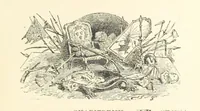 An illustration from Histoire de la Révolution Française (1887)