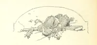 An illustration from Histoire de la Révolution Française (1887)