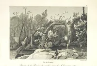 An illustration from Atlas (1812)