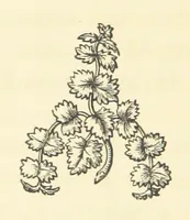 An illustration from Life amongst the Modocs: unwritten history (1873)