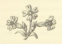 An illustration from Life amongst the Modocs: unwritten history (1873)