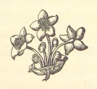 An illustration from Life amongst the Modocs: unwritten history (1873)