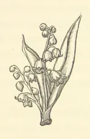 An illustration from Life amongst the Modocs: unwritten history (1873)