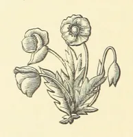 An illustration from Life amongst the Modocs: unwritten history (1873)