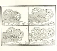 Picture 11 of 66 from Olde Leeke: historical, biographical, anecdotal, and archæological. Edited by M. H. Miller. Reprinted from the “Leek Times.” (Second Series.) L.P (1891), leaf 77