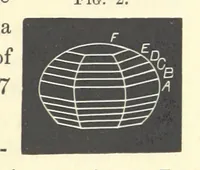 Picture 2 of 25 from Notes on Crystallography and Crystallo-Physics, being the substance of lectures delivered at Yedo during the years 1876-77. [Edited by Thomas Davies (1879), leaf 19