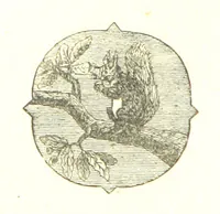 An illustration from The Poetical Works of John Milton (1878)