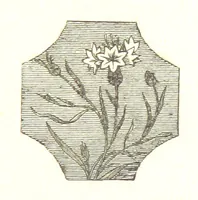An illustration from The Poetical Works of John Milton (1878)