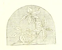 An illustration from The Poetical Works of John Milton (1878)