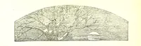 An illustration from The Poetical Works of John Milton (1878)