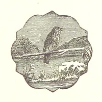 An illustration from The Poetical Works of John Milton (1878)