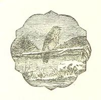 An illustration from The Poetical Works of John Milton (1878)