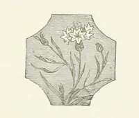 An illustration from Poems ... With notes. [With a portrait (1881)