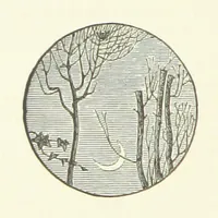 An illustration from Poems ... With notes. [With a portrait (1881)