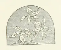 An illustration from Poems ... With notes. [With a portrait (1881)
