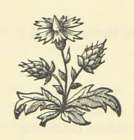 An illustration from The Poetical Works of John Milton, printed from the original editions. With a life of the author by A. Chalmers ... With twelve illustrations by R. Westall (1881)
