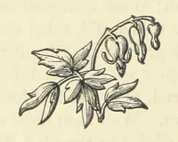 An illustration from The Poetical Works of John Milton, printed from the original editions. With a life of the author by A. Chalmers ... With twelve illustrations by R. Westall (1881)
