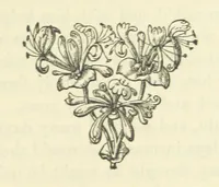 An illustration from The Poetical Works of John Milton, printed from the original editions. With a life of the author by A. Chalmers ... With twelve illustrations by R. Westall (1881)