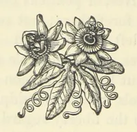 An illustration from The Poetical Works of John Milton, printed from the original editions. With a life of the author by A. Chalmers ... With twelve illustrations by R. Westall (1881)
