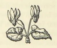 An illustration from The Poetical Works of John Milton, printed from the original editions. With a life of the author by A. Chalmers ... With twelve illustrations by R. Westall (1881)