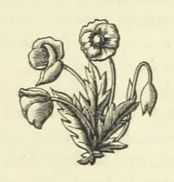 An illustration from The Poetical Works of John Milton, printed from the original editions. With a life of the author by A. Chalmers ... With twelve illustrations by R. Westall (1881)
