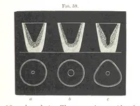 An illustration from Manual of practical assaying (1868)