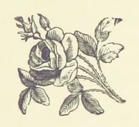 An illustration from Crane Court. [A novel (1888)