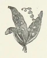 Picture 4 of 4 from Seaforth. [A novel (1879), leaf 119