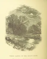 An illustration from Moore's Irish Melodies, Lalla Rookh, National Airs, Legendary Ballads, Songs, etc., with a memoir by J. F. Waller. Illustrations, etc (1867)