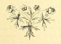 An illustration from Moore's Irish Melodies, Lalla Rookh, National Airs, Legendary Ballads, Songs, etc., with a memoir by J. F. Waller. Illustrations, etc (1867)