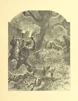 An illustration from Moore's Irish Melodies, Lalla Rookh, National Airs, Legendary Ballads, Songs, etc., with a memoir by J. F. Waller. Illustrations, etc (1867)