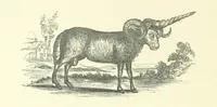 An illustration from Memoirs of Bartholomew Fair ... Fourth edition (1892)