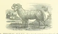 An illustration from Memoirs of Bartholomew Fair ... Fourth edition (1892)