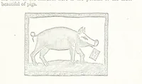 An illustration from Memoirs of Bartholomew Fair ... Fourth edition (1892)