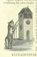 Picture 80 of 83 from Memoirs of Bartholomew Fair ... Fourth edition (1892), leaf 430