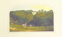An illustration from The County Seats of the Noblemen and Gentlemen of Great Britain and Ireland. vol. 1, 2. (Vol. 3-5. A Series of Picturesque Views of Seats of the Noblemen ... of Great Britain and Ireland. With descriptive letterpress.) (1866)