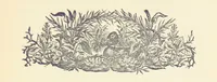 An illustration from Letters sent Home. Out and home again by way of Canada and the United States; or, what a summer's trip told me of the people and the country of the Great West (1874)