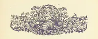 An illustration from Letters sent Home. Out and home again by way of Canada and the United States; or, what a summer's trip told me of the people and the country of the Great West (1874)