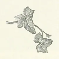 An illustration from Mercantile Manchester, past and present ... With ... illustrations (1896)