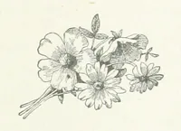 An illustration from Mercantile Manchester, past and present ... With ... illustrations (1896)