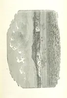An illustration from The English in South America (1878)