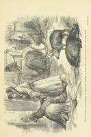 An illustration from Imprisoned in a Spanish Convent: an English girl's experiences, with other narratives and tales ... Second edition (1886)