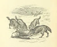 An illustration from Imprisoned in a Spanish Convent: an English girl's experiences, with other narratives and tales ... Second edition (1886)