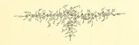 Picture 10 of 23 from Nugæ Canoræ. [Poems (1888), leaf 107