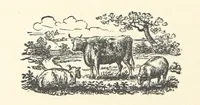 Picture 7 of 26 from My Brother Basil. [A novel.] ... With illustrations, etc (1891), leaf 74