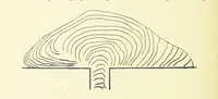 An illustration from Aardrijkskunde van Zuid-Afrika, door Dr. H. Blink ... Uitgegeven door de Nederlandsch Zuid-Afrikaansche Vereeniging (1889)