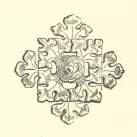 An illustration from History of the Forest of Rossendale ... With a chapter on the Geology of Rossendale. By Captain Aitken ... And observations on the botany of the district. By A. Stansfield (1868)
