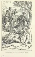 An illustration from Paving the Way. A romance of the Australian Bush (1898)