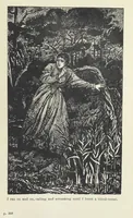 An illustration from Paving the Way. A romance of the Australian Bush (1898)