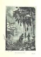 An illustration from The Land of the Hibiscus Blossom: a yarn of the Papuan Gulf ... With illustrations by the author (1888)